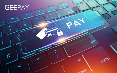 Payment Gateway Interface